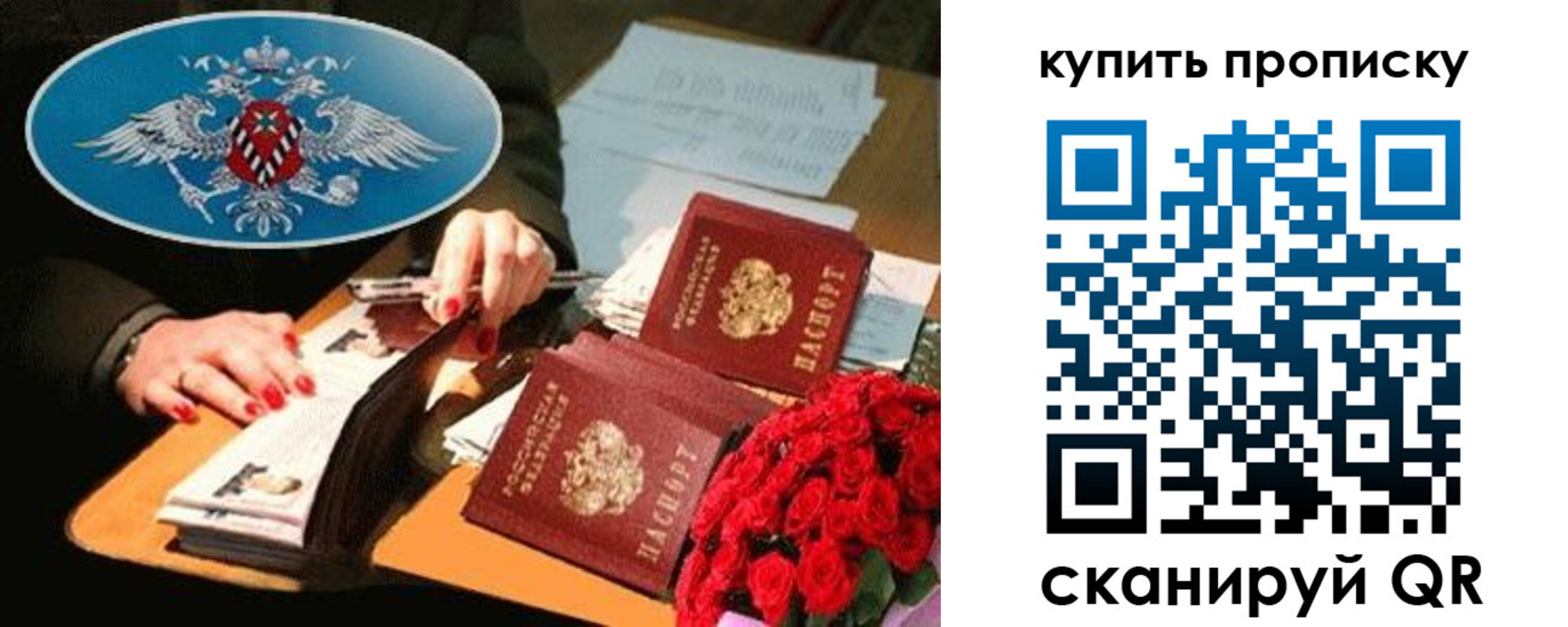 прописка законно в Коле
